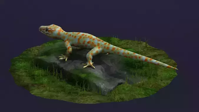 gecko animal lizard reptile stylized cartoon creature cute