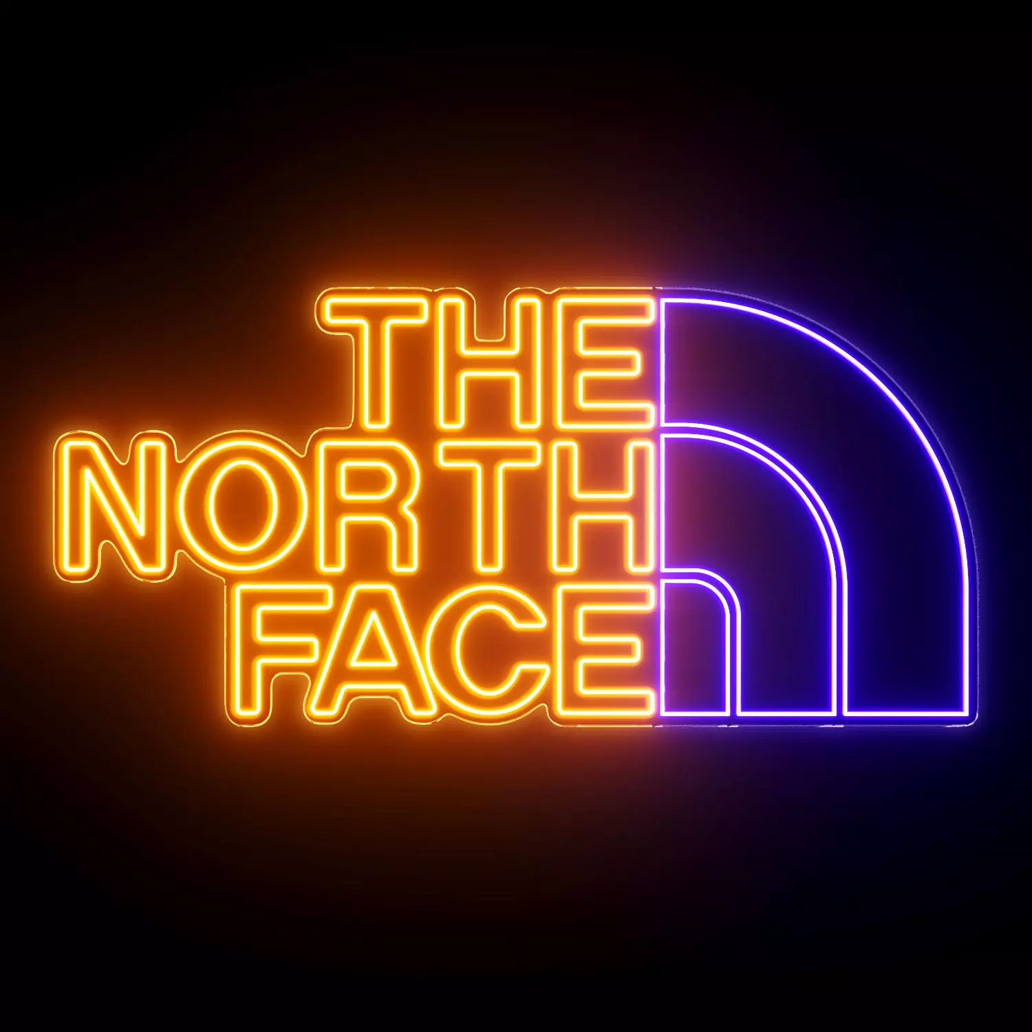 The North Face Neon Sign 3D model