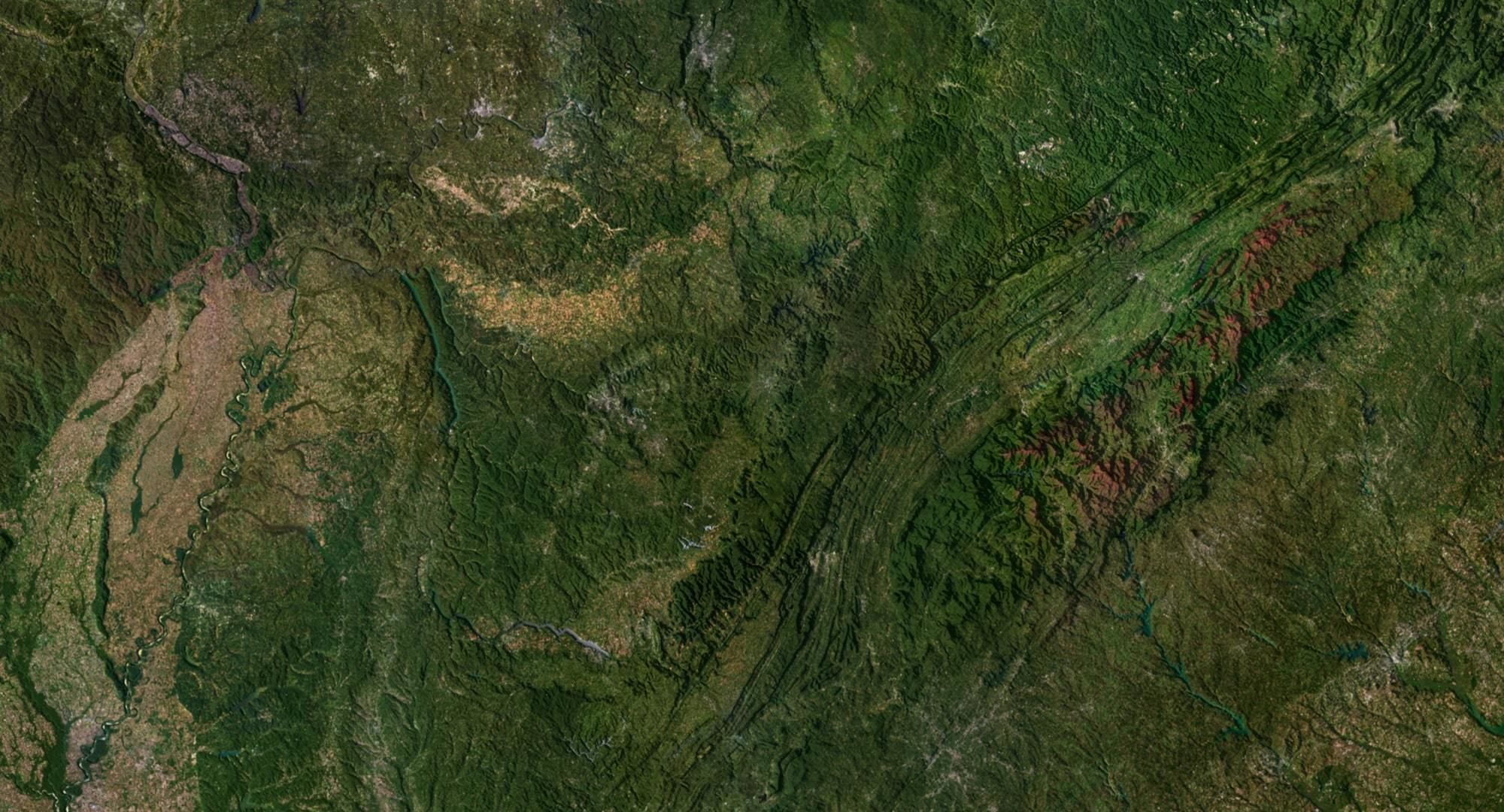 United States Terrain 3D Map 3D model_6