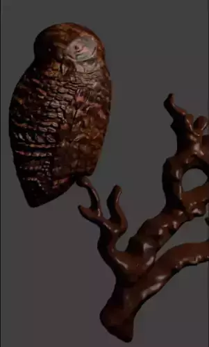 3D model of owl