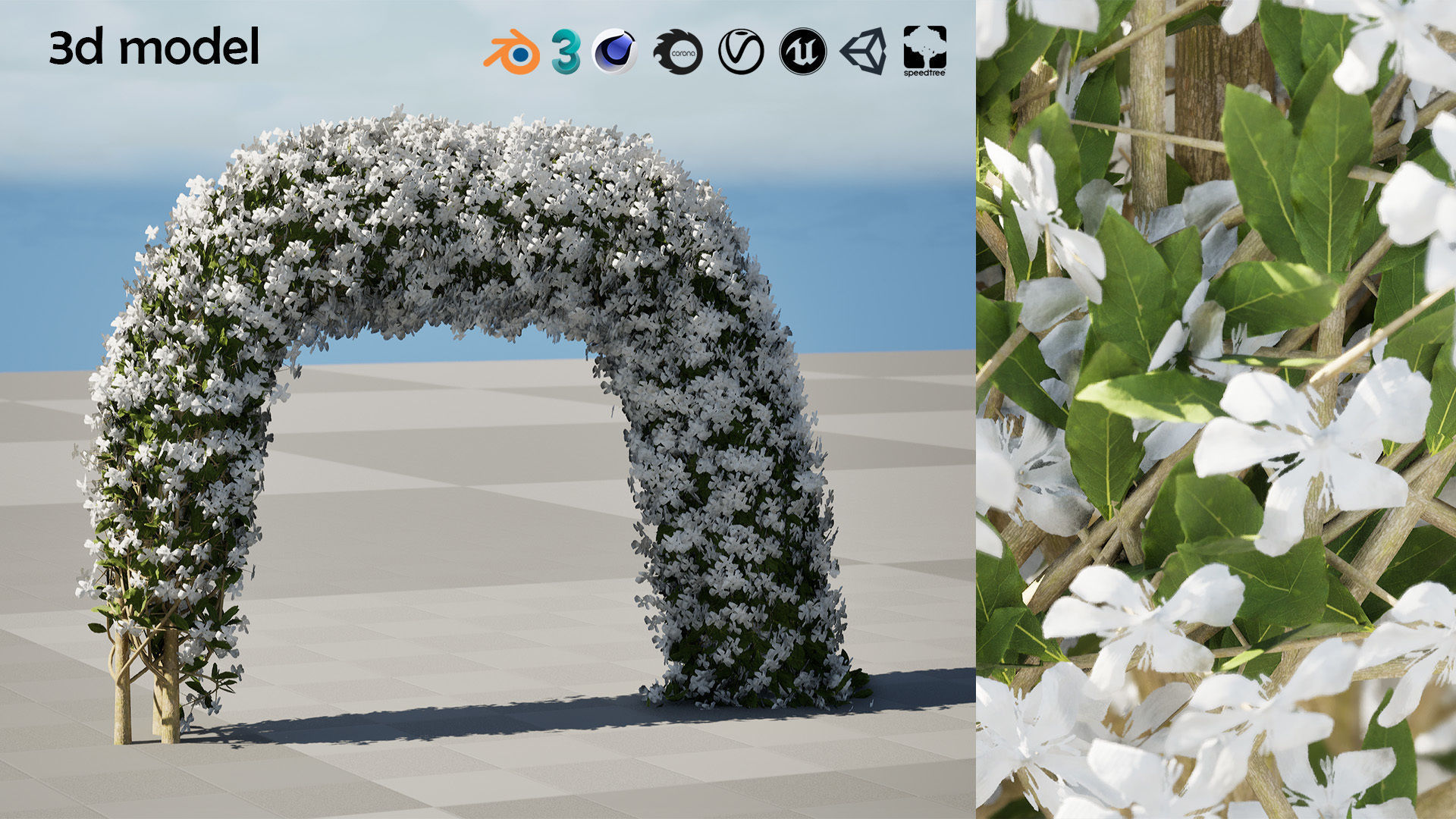White Crepe Jasmine Arch 3D Asset Low-poly 3D model_4