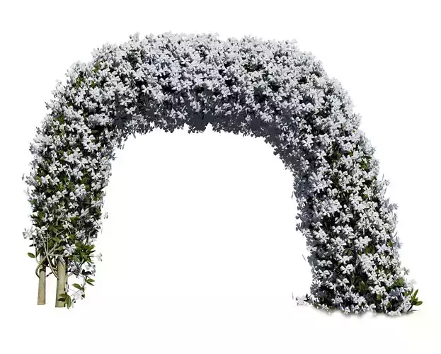 White Crepe Jasmine Arch 3D Asset Low-poly 3D model