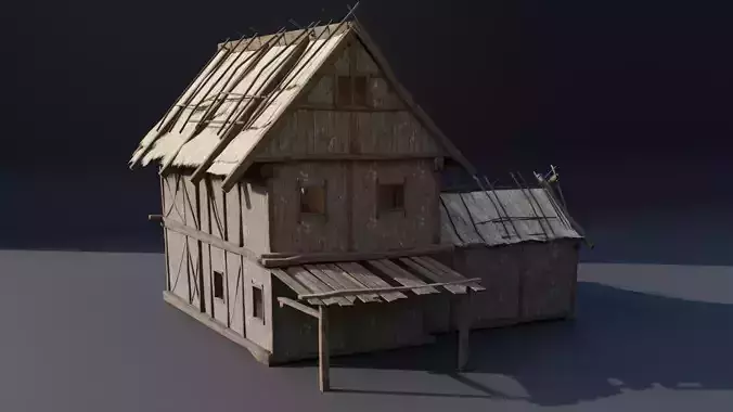Medieval house-1