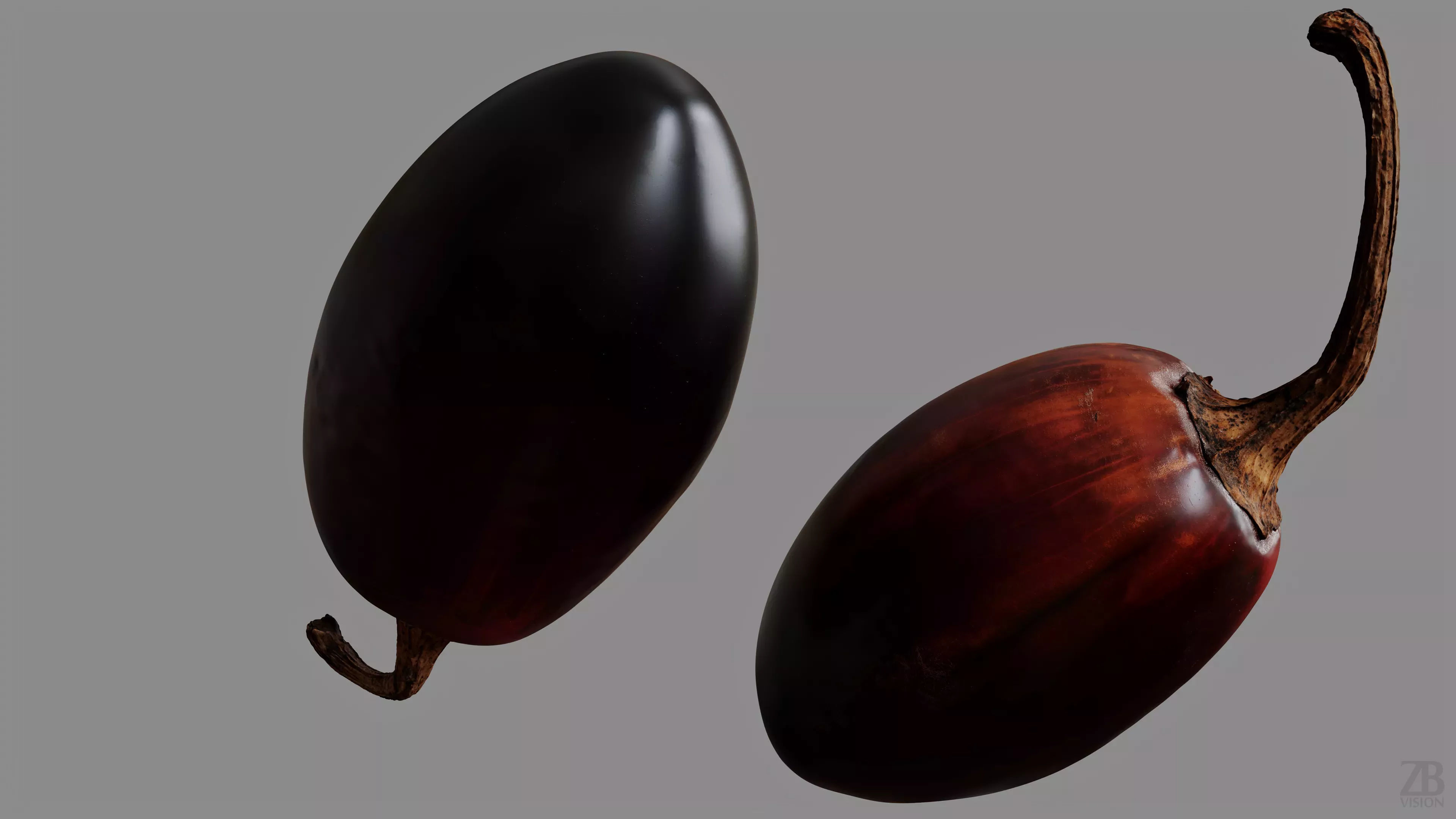 Cascabel 3D model_9