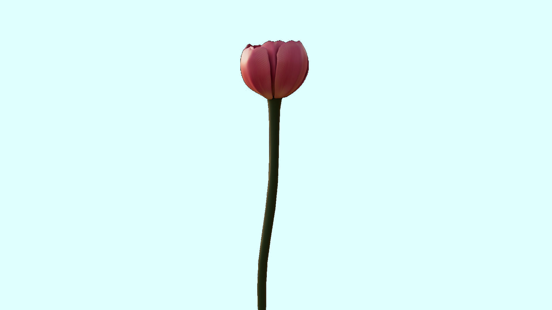 Flower 3D Model Low Poly 3D Model Low-poly 3D model_1