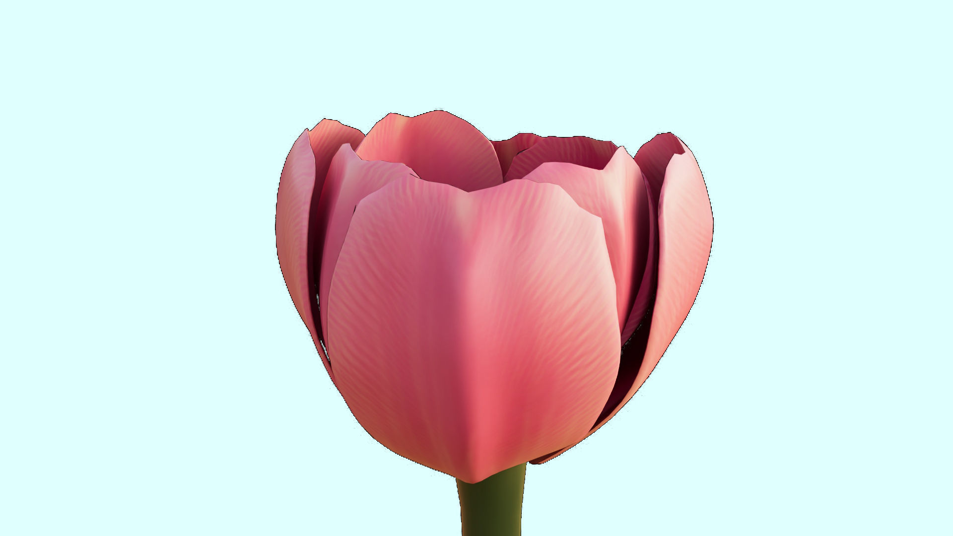 Flower 3D Model Low Poly 3D Model Low-poly 3D model_8