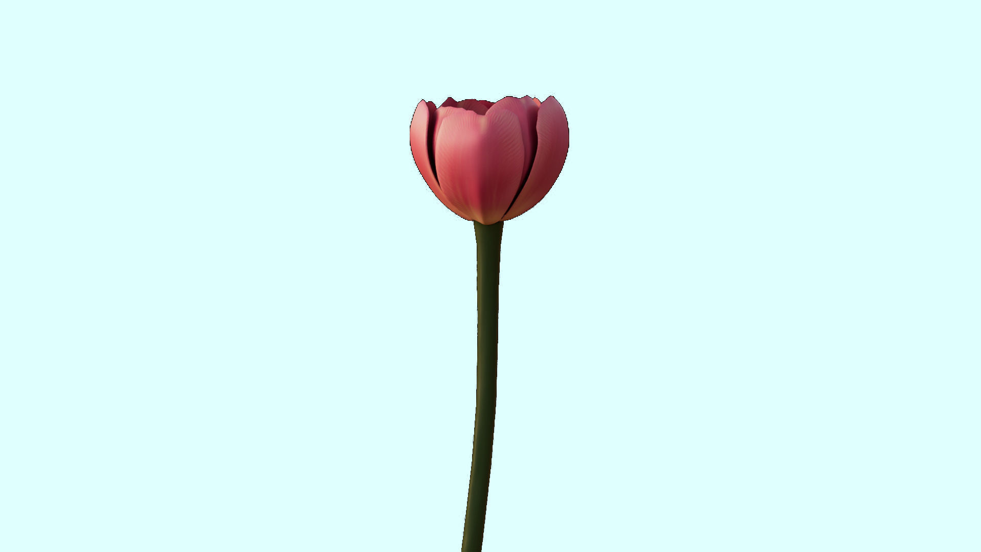 Flower 3D Model Low Poly 3D Model Low-poly 3D model_3