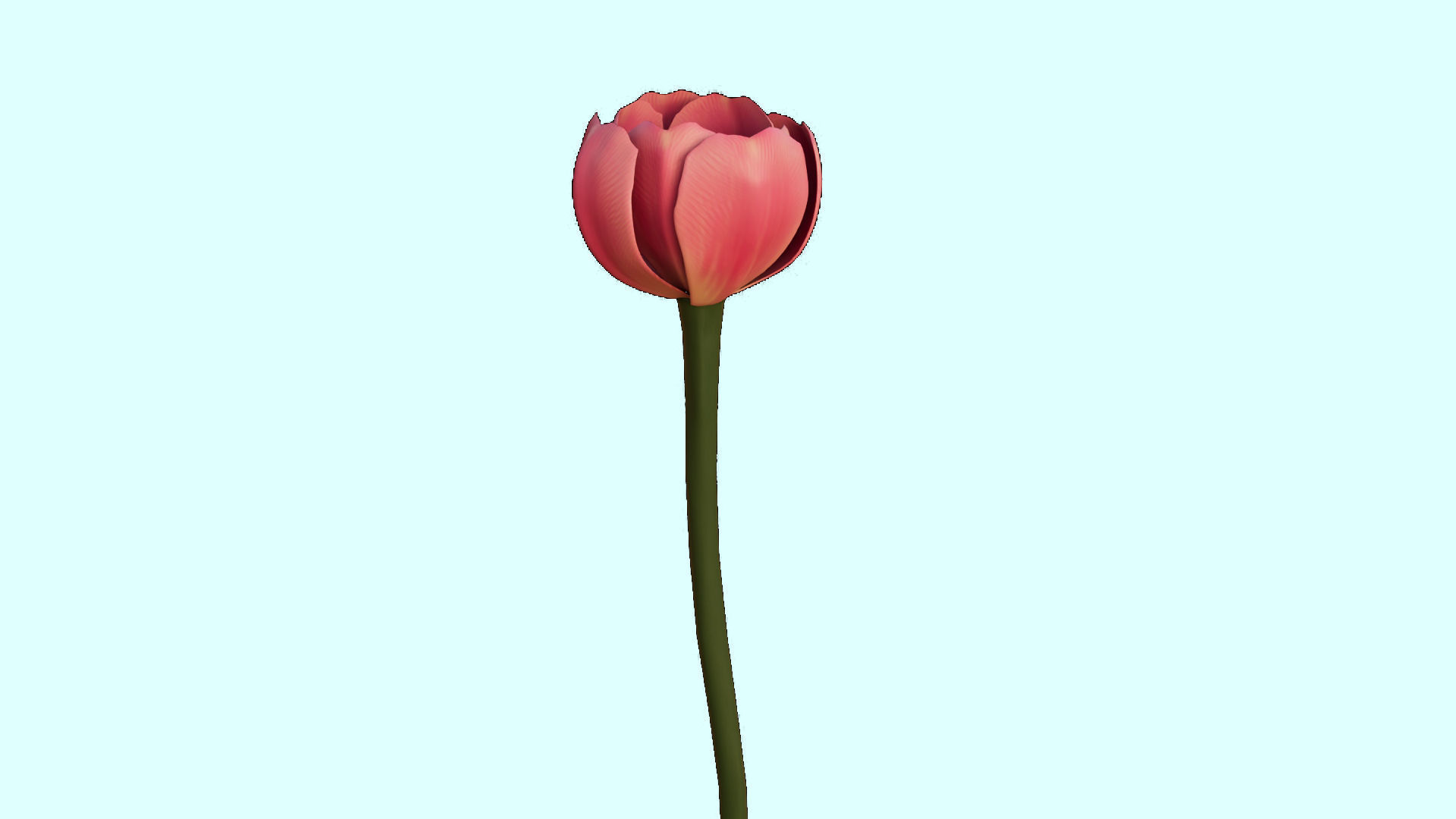 Flower 3D Model Low Poly 3D Model Low-poly 3D model_6