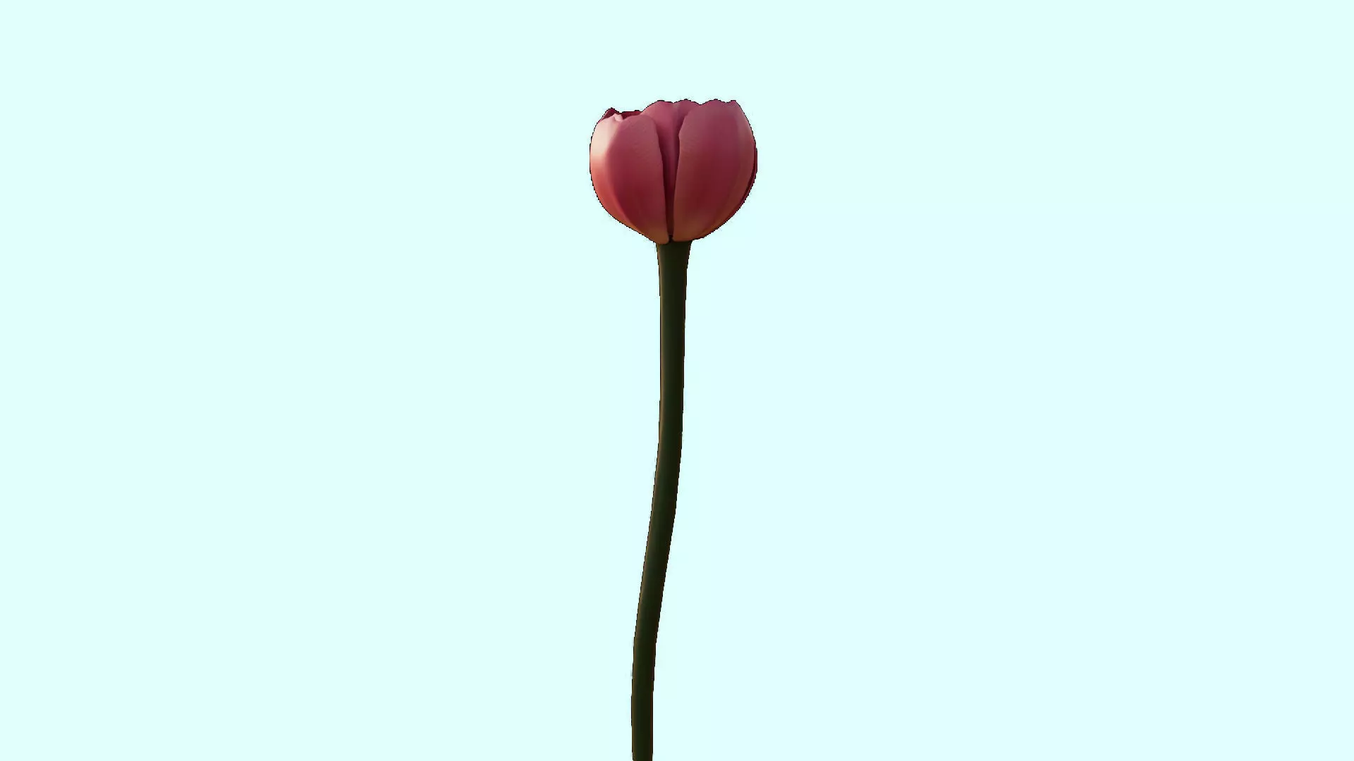 Flower 3D Model Low Poly 3D Model Low-poly 3D model_0