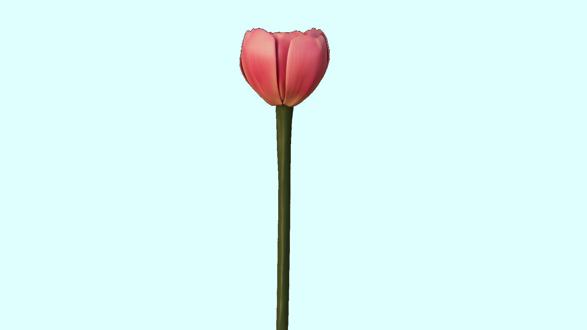 Flower 3D Model Low Poly 3D Model Low-poly 3D model_5