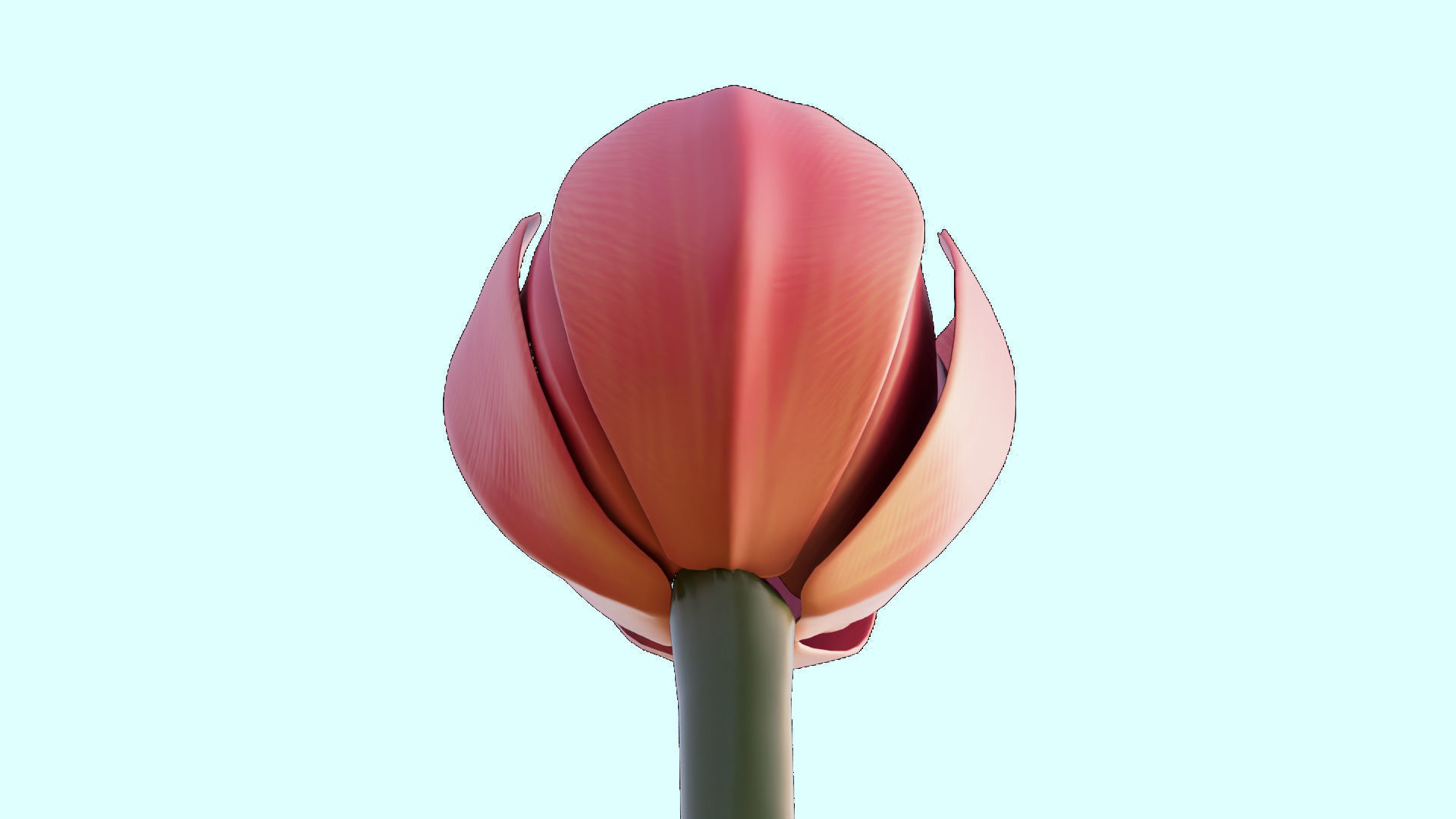 Flower 3D Model Low Poly 3D Model Low-poly 3D model_11