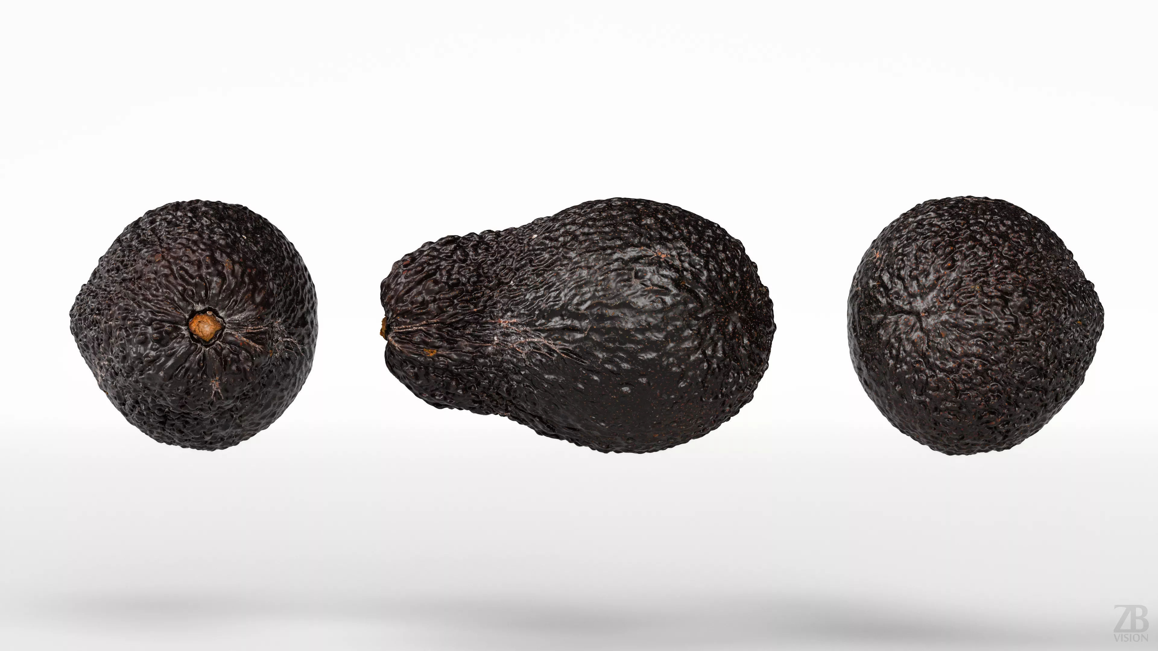 Avocado 3D model_4