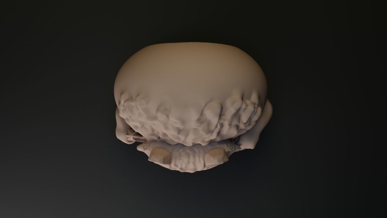 fox candel 3D print model_9