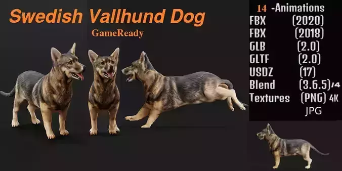 Swedish Vallhund Dog Low-poly 3D model