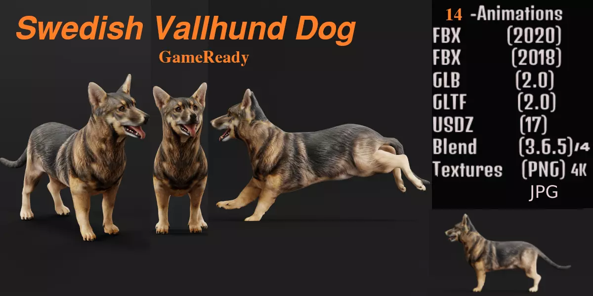 Swedish Vallhund Dog Low-poly 3D model