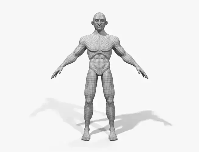 Stylized Lowpoly Basemesh 03 Low-poly 3D model