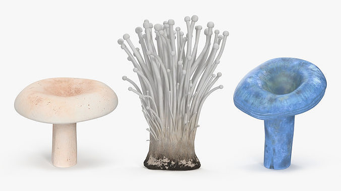 Edible Mushrooms Collection 3 3D Model Pack