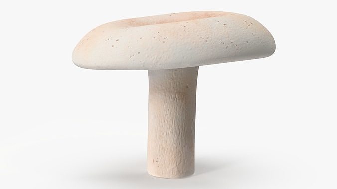 Edible Mushrooms Collection 3 3D Model Pack 6