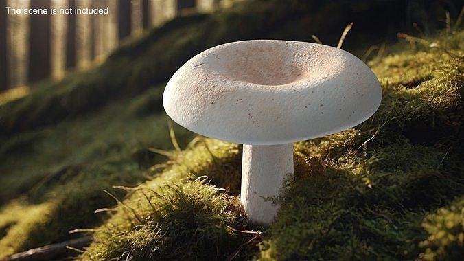 Edible Mushrooms Collection 3 3D Model Pack 2