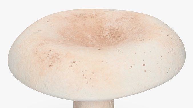 Edible Mushrooms Collection 3 3D Model Pack 7