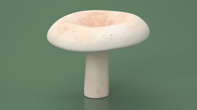 Edible Mushrooms Collection 3 3D Model Pack 4