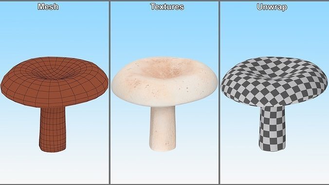 Edible Mushrooms Collection 3 3D Model Pack 5