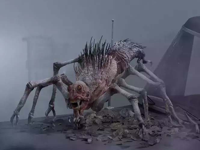 Gray Widower Low-poly 3D model
