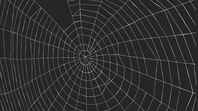 Spider Webs Collection 3D Model Pack 7