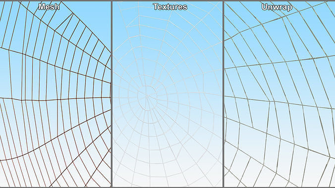 Spider Webs Collection 3D Model Pack 4