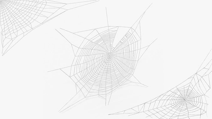 Spider Webs Collection 3D Model Pack