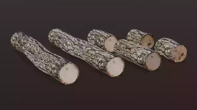 Wooden Log 3D Model