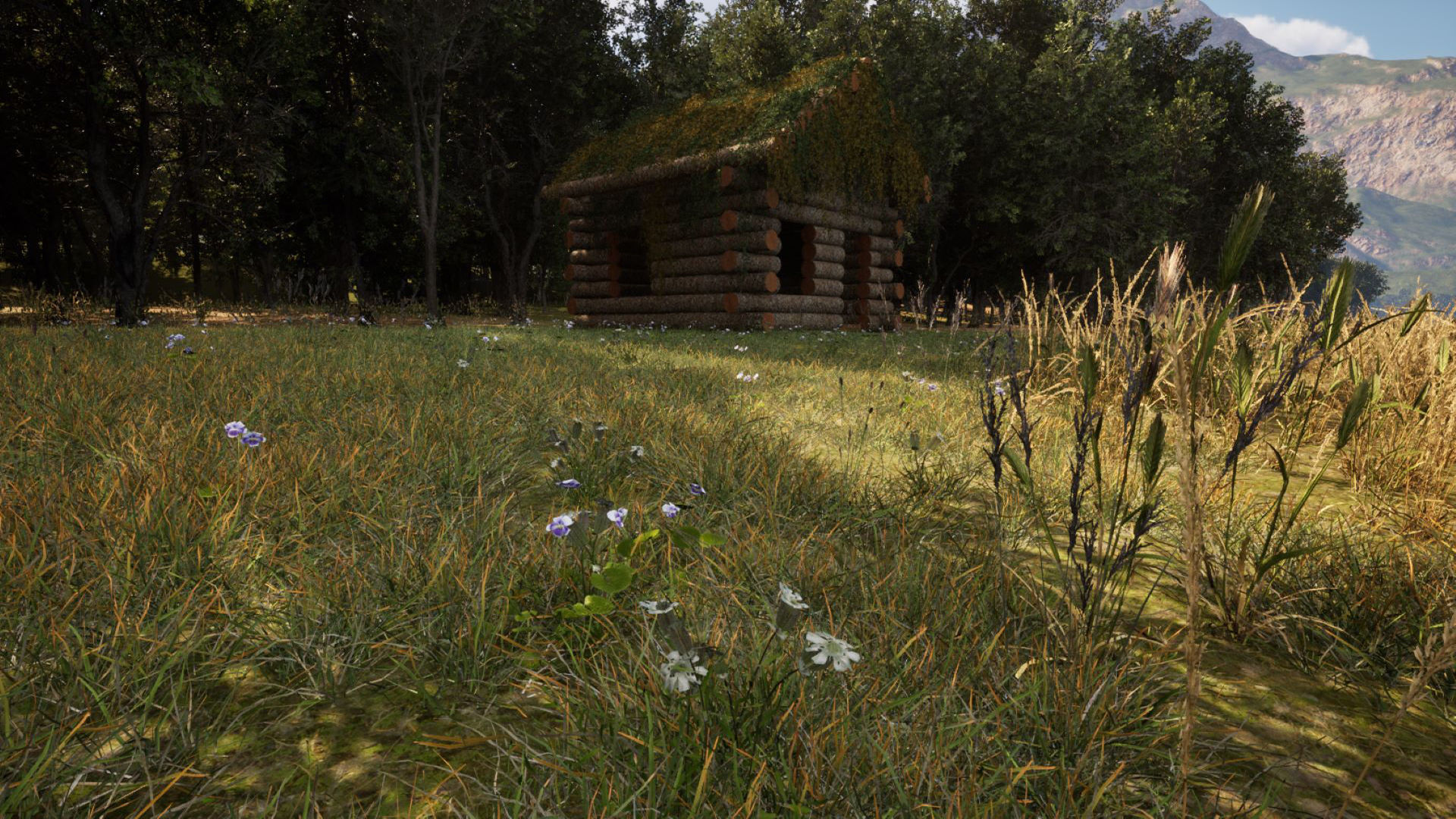 Forest Creator - Follige Ready - Unreal Engine 5 3D model_4