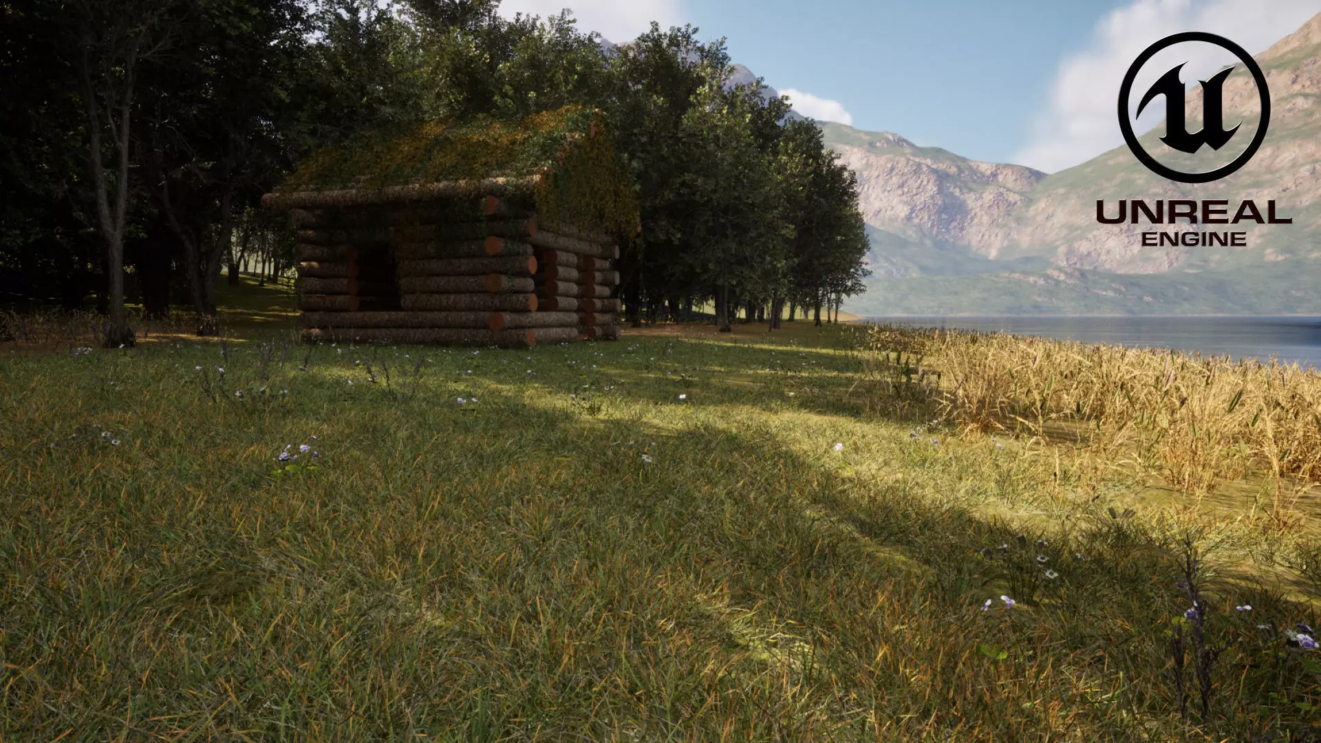 Forest Creator - Follige Ready - Unreal Engine 5 3D model_0