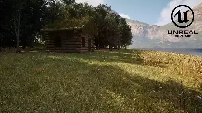 Forest Creator - Follige Ready - Unreal Engine 5