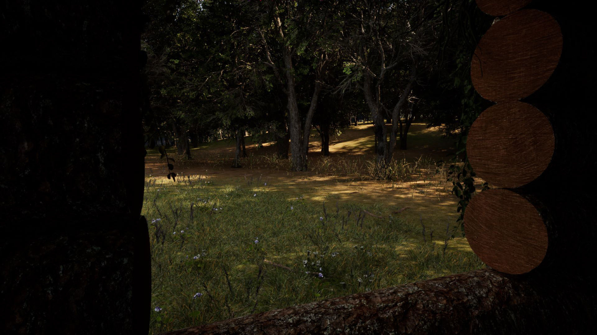 Forest Creator - Follige Ready - Unreal Engine 5 3D model_5