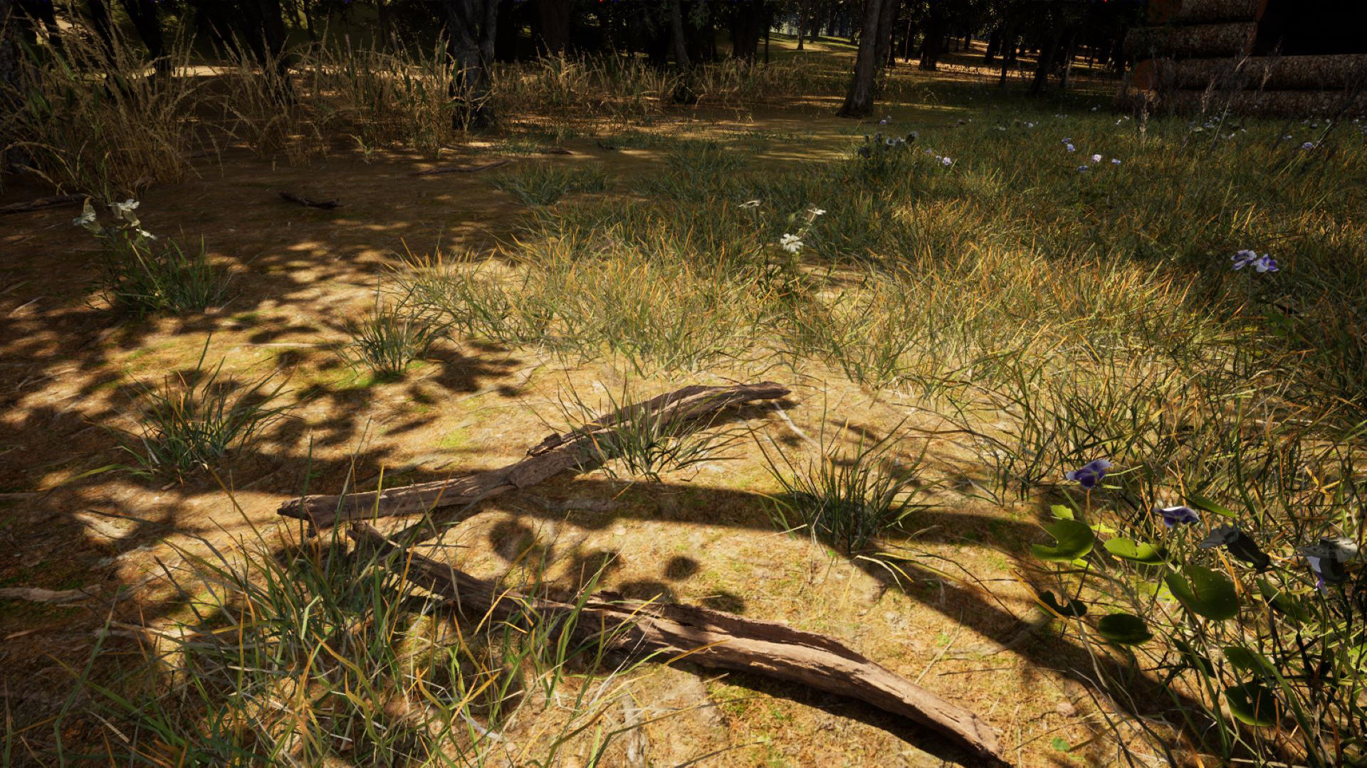 Forest Creator - Follige Ready - Unreal Engine 5 3D model_1