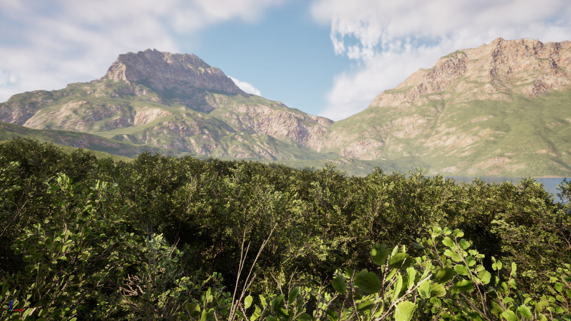 Forest Creator - Follige Ready - Unreal Engine 5 3D model_6