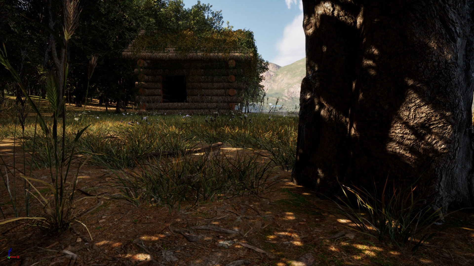 Forest Creator - Follige Ready - Unreal Engine 5 3D model_3