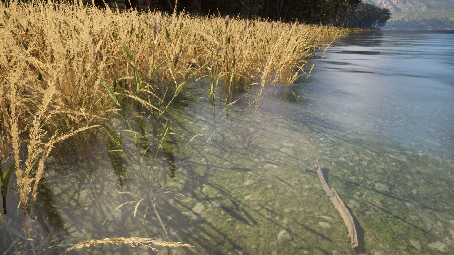 Forest Creator - Follige Ready - Unreal Engine 5 3D model_2