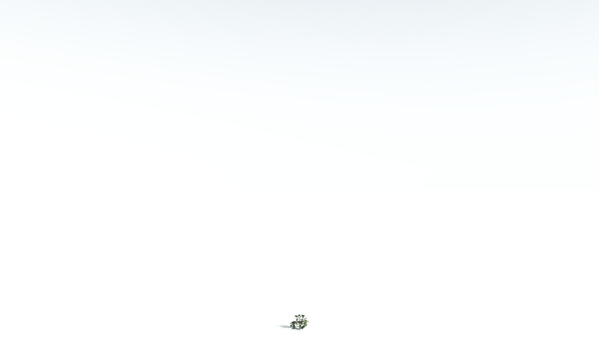 EVERYPlant Sea Almond 1 --15 Models-- 3D model_29