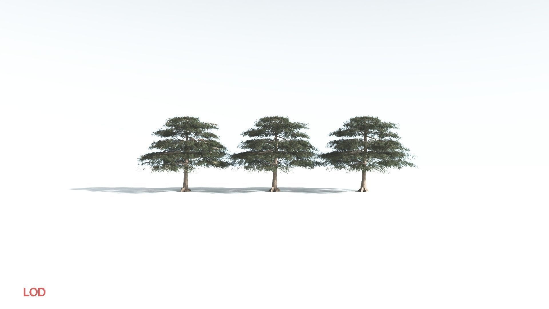 EVERYPlant Sea Almond 1 --15 Models-- 3D model_4
