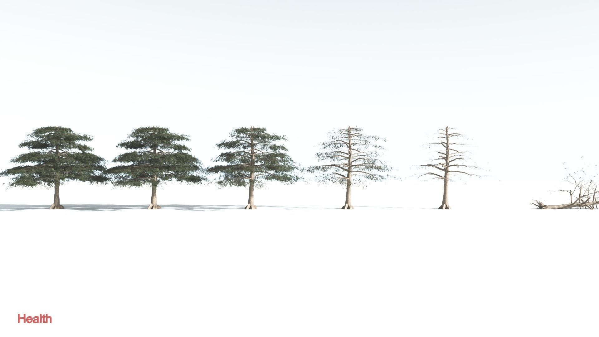 EVERYPlant Sea Almond 1 --15 Models-- 3D model_2