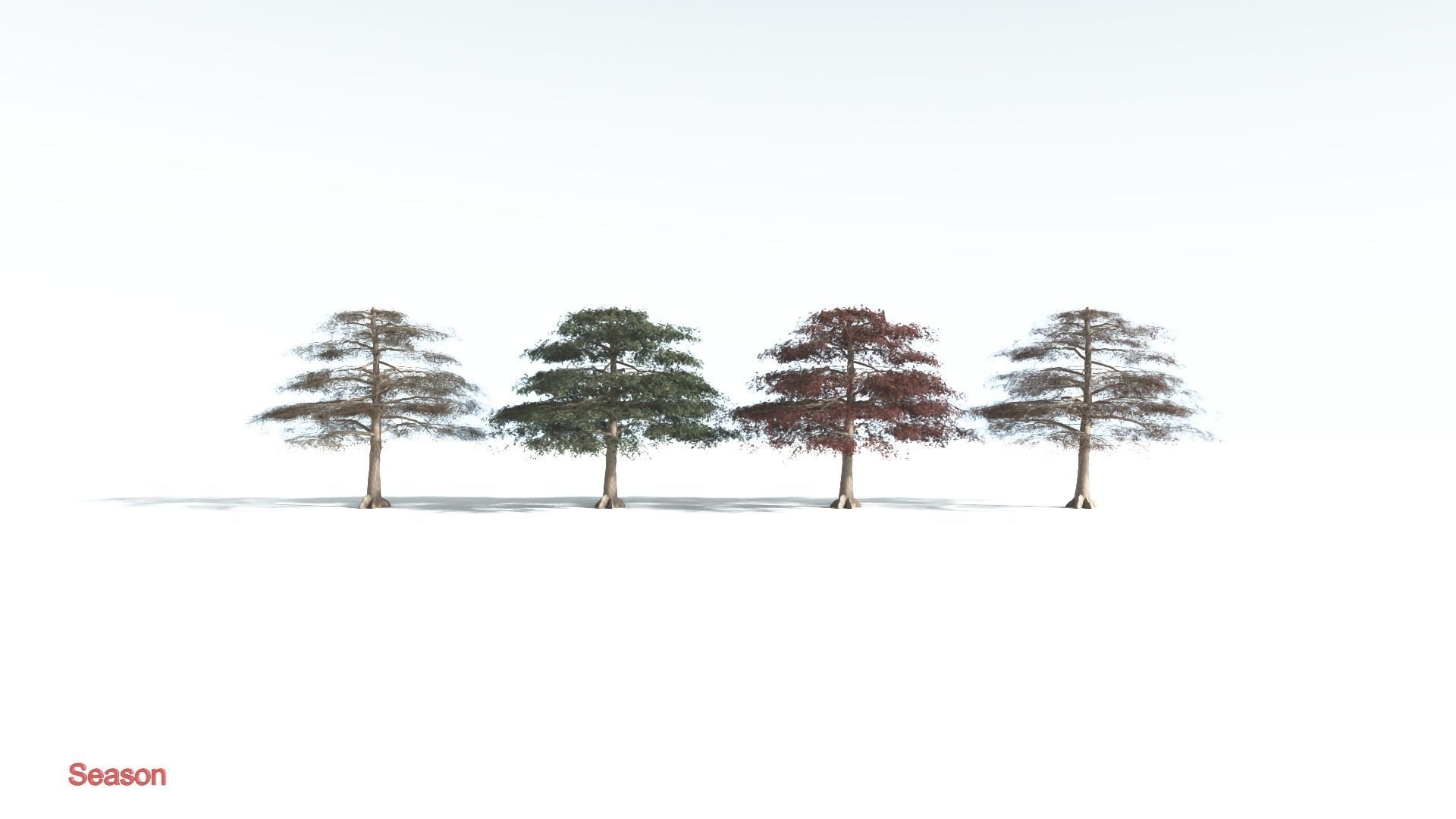 EVERYPlant Sea Almond 1 --15 Models-- 3D model_1