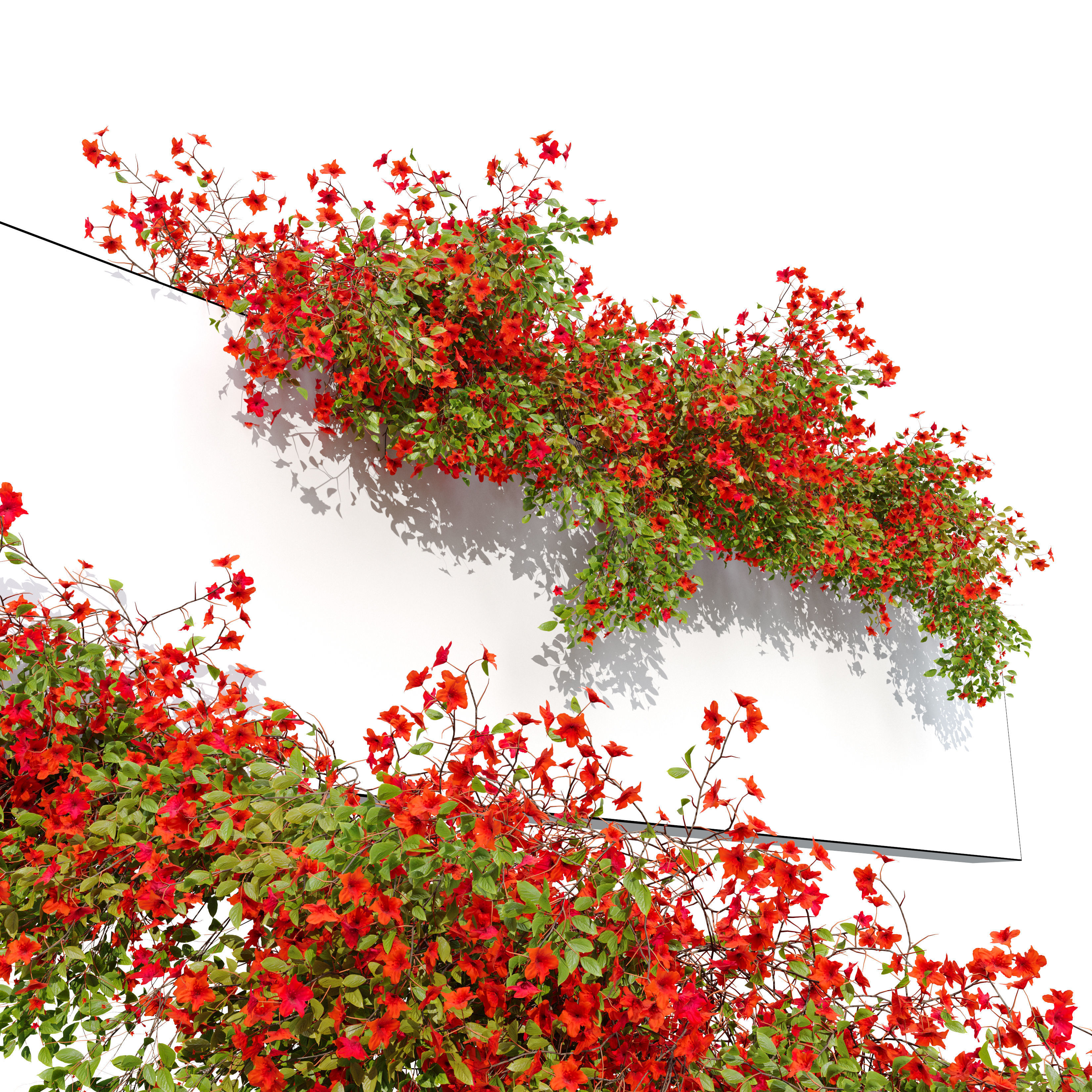 Hanging plant 43 3D model_2