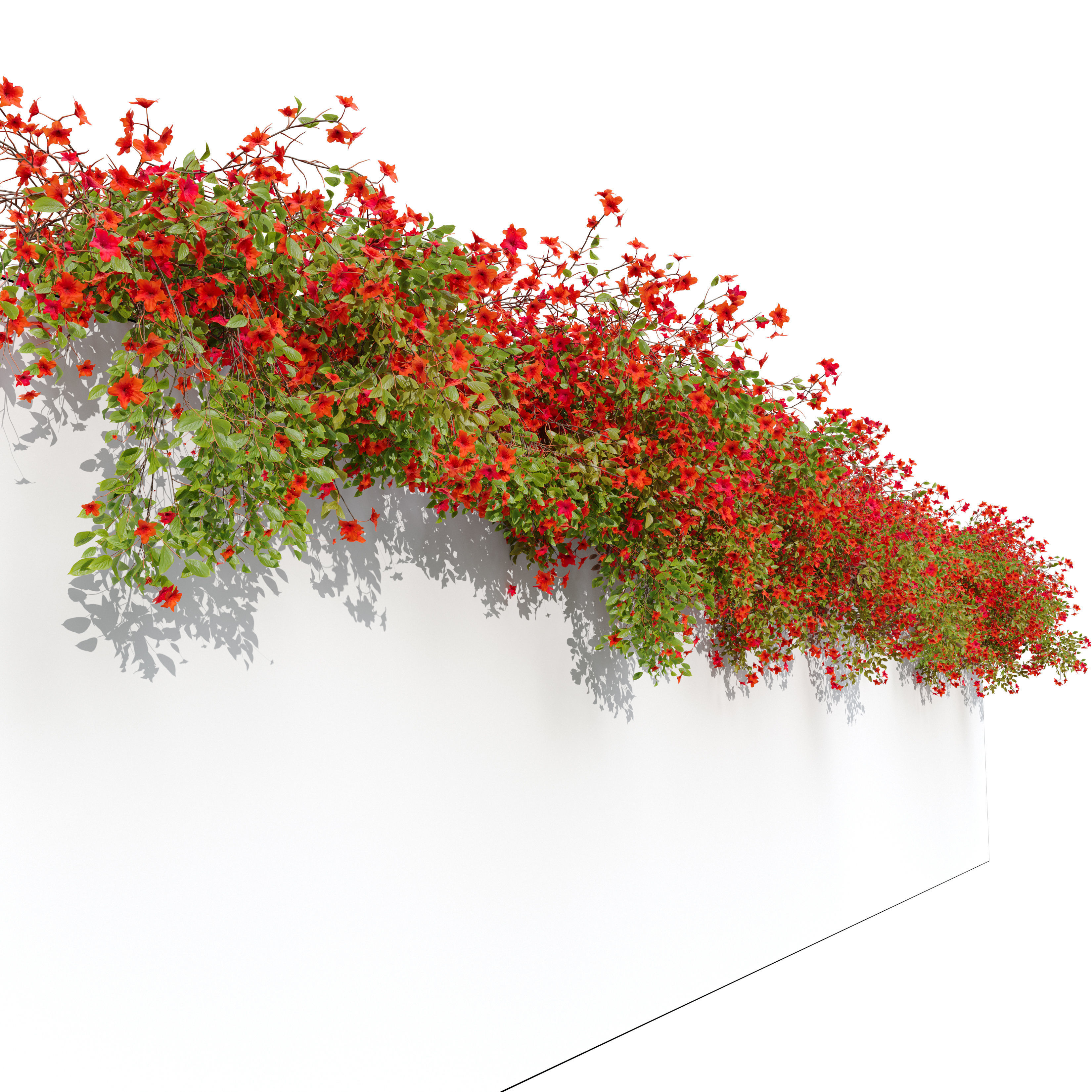 Hanging plant 43 3D model_3