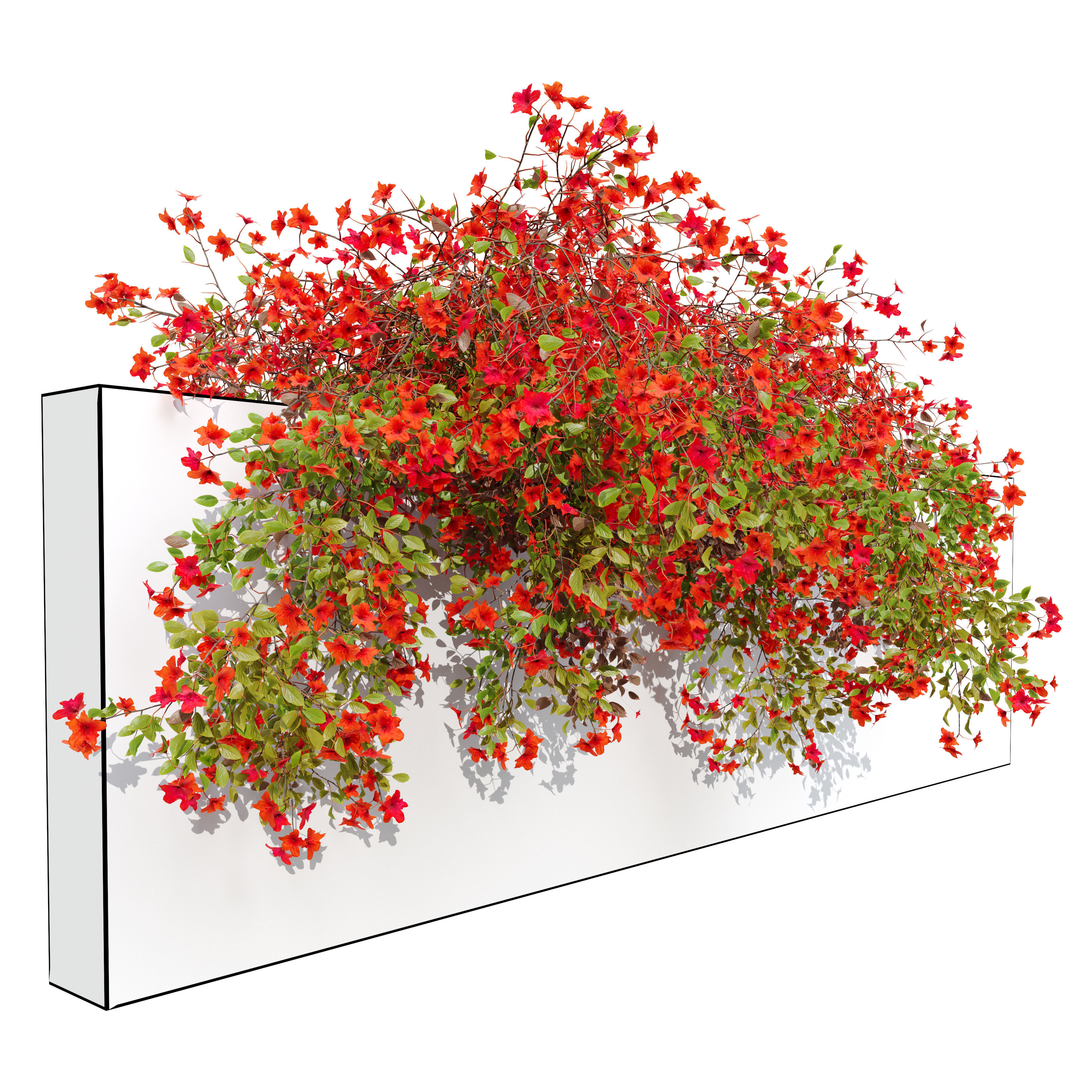 Hanging plant 43 3D model_1