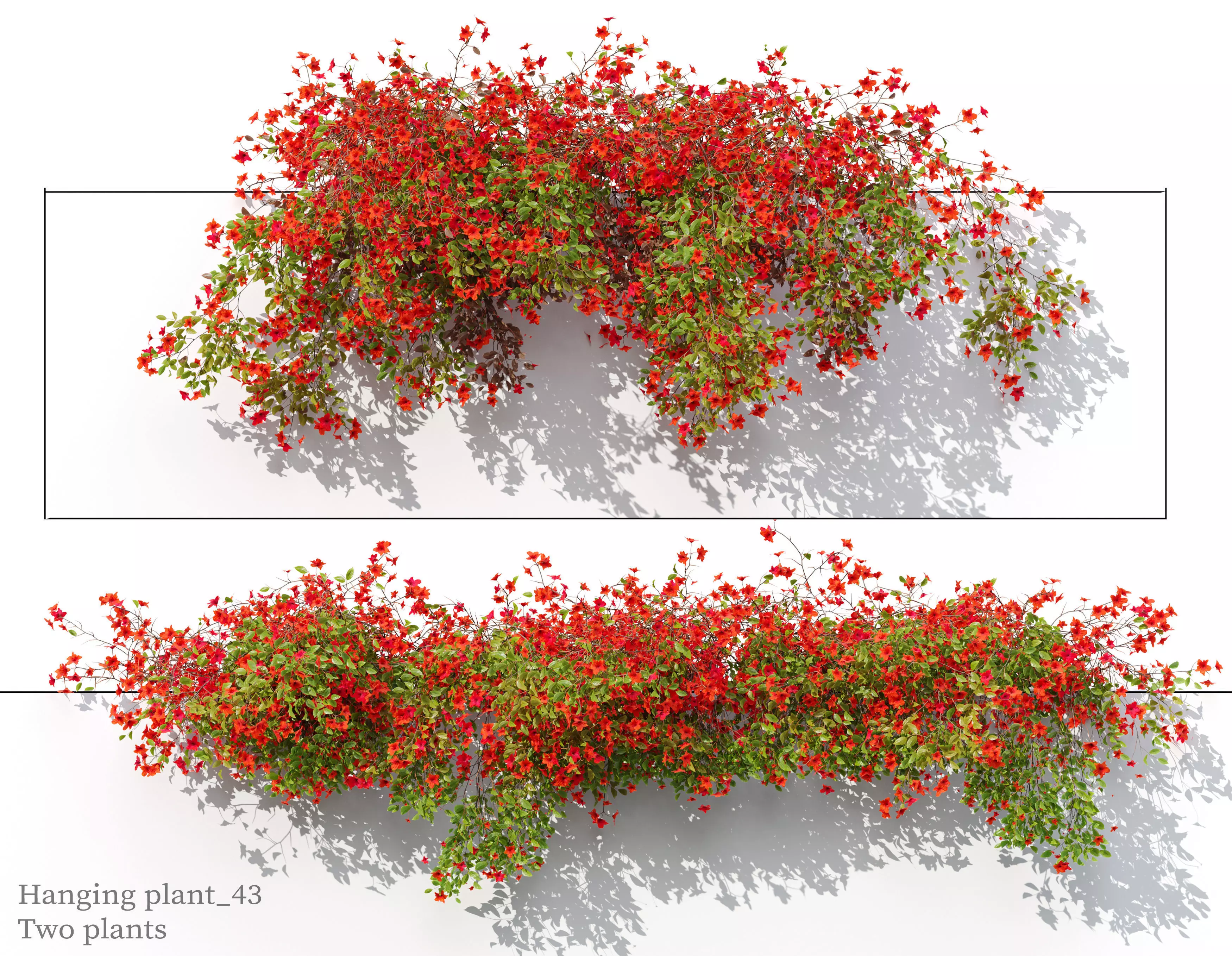 Hanging plant 43 3D model_0