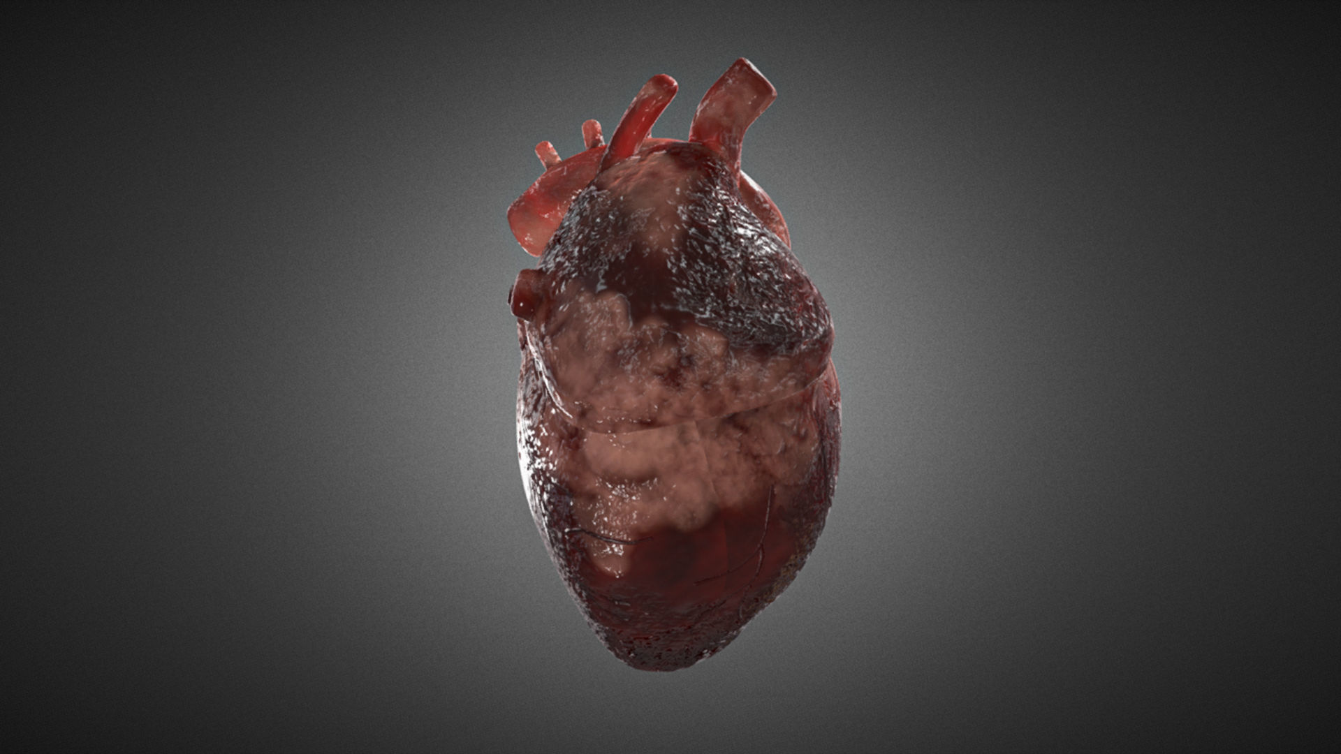 Realistic Human Heart 3D 3D model_3
