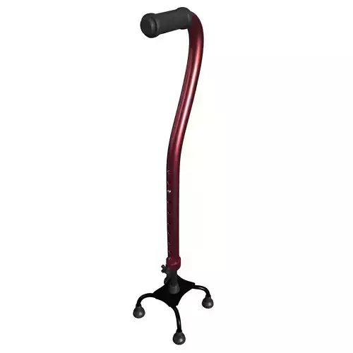 Walking Stick