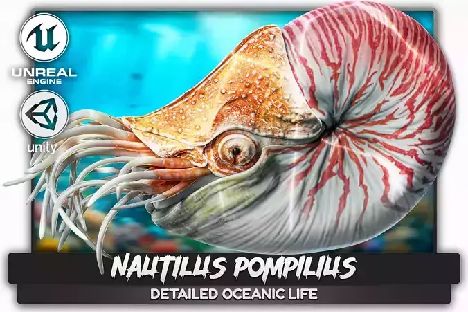 Nautilus Pompilius - Shell Mollusk - Underwater Tentacles - 44 Low-poly 3D model